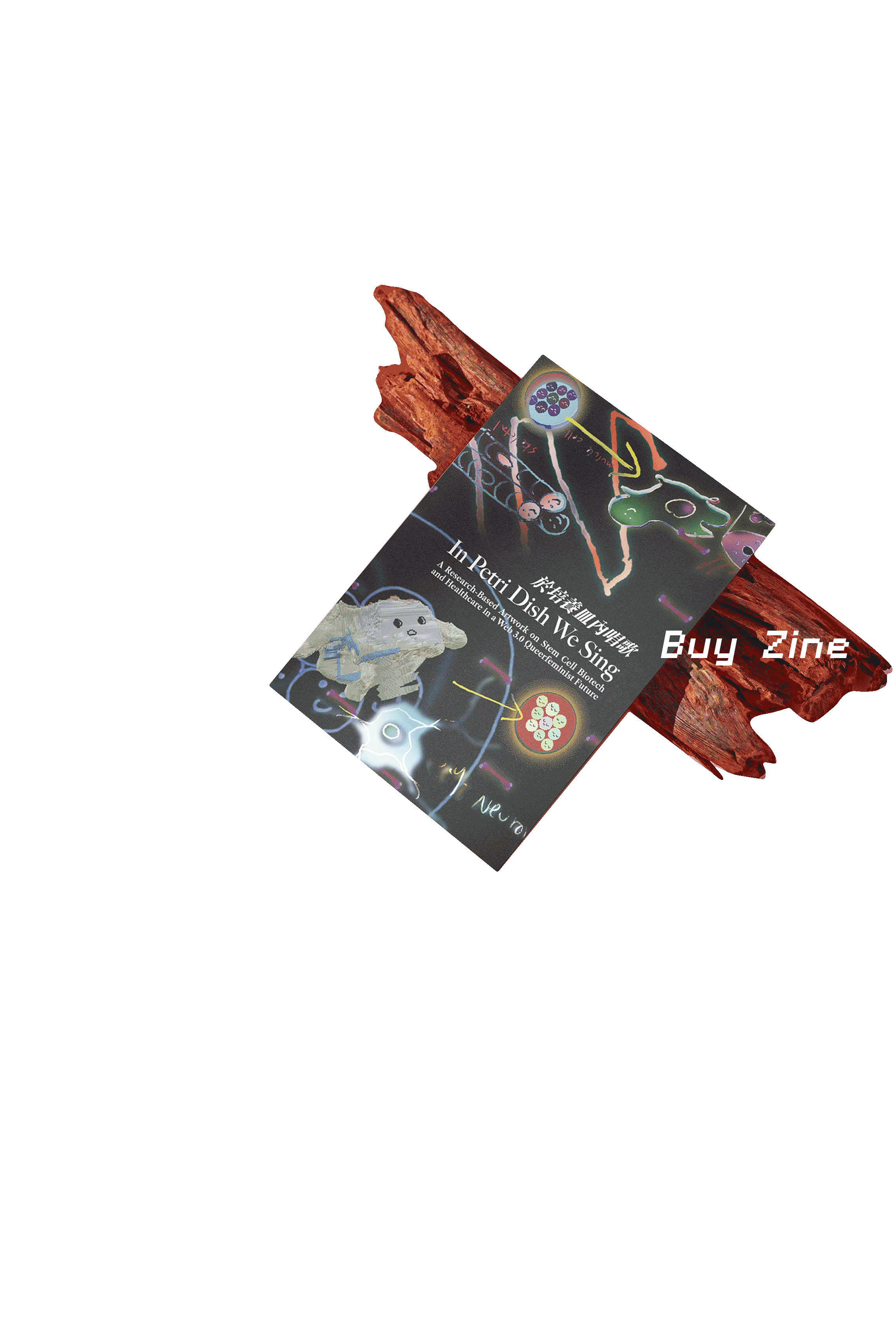 Buy Zine